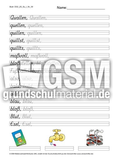 DSS_2S_Bu_l_Nr_09.pdf